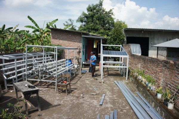 Unair Ciptakan Smart Farming Hidroponik dengan Kecerdasan Buatan