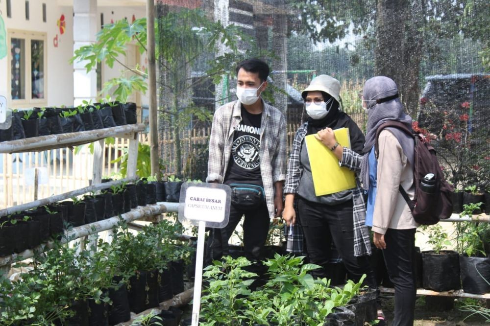 Kreatif Jaga Ketahanan Pangan, Lampung Timur Gelar Lomba Tanam Sayur