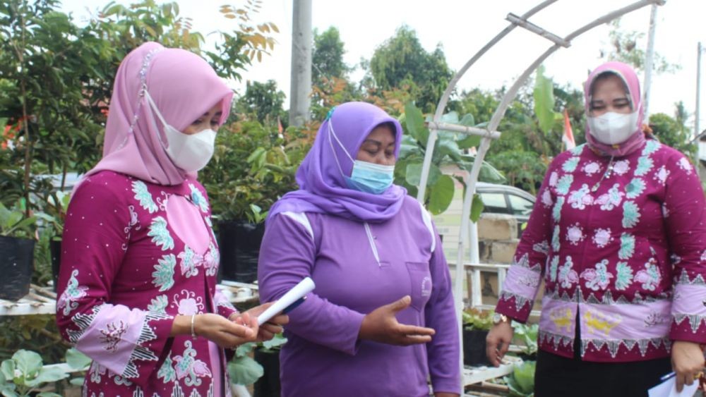 Kreatif Jaga Ketahanan Pangan, Lampung Timur Gelar Lomba Tanam Sayur