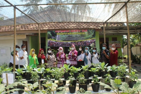 Kreatif Jaga Ketahanan Pangan, Lampung Timur Gelar Lomba Tanam Sayur