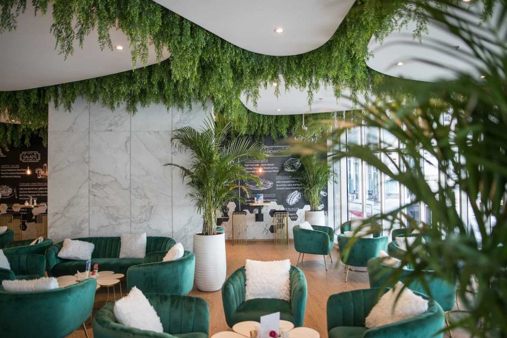 9 Ide Tanaman buat Dekorasi Coffee Shop, Beri Kesan Teduh