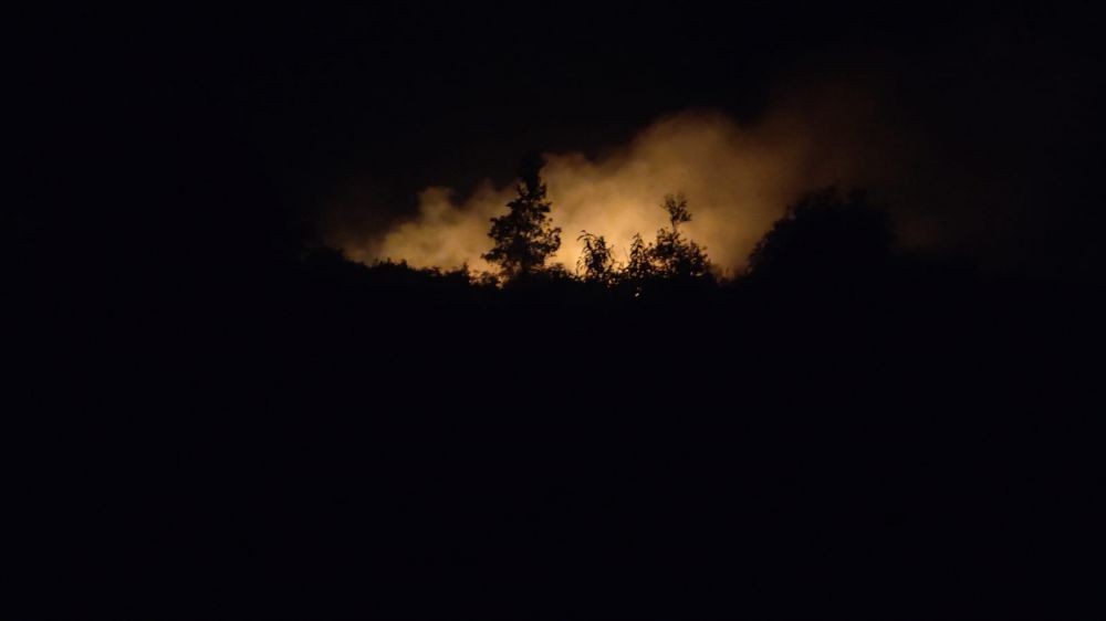 Antisipasi Karhutla di Sumsel, 7 Daerah Masuk Wilayah Rawan Terbakar