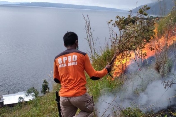 23 Hektare Lahan Terbakar di Sumut dan Kalsel, Api Sudah Dipadamkan