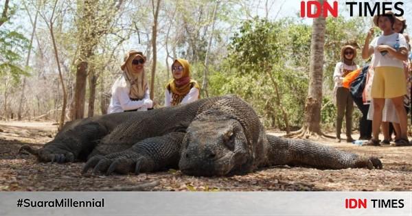 Sandiaga Ragu Unesco Minta Setop Proyek Jurassic Park Komodo 5433