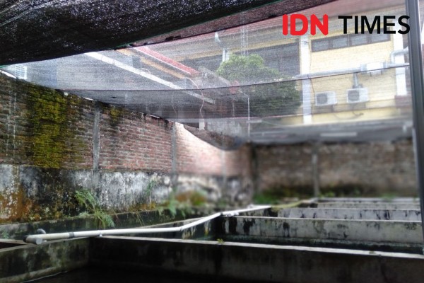 Pasien COVID-19 di RSLKC Bantul Ditemukan Meninggal di Kolam Ikan