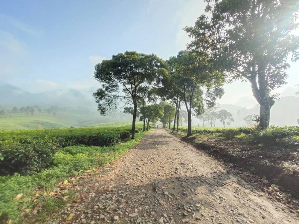 10 Potret Keindahan Nuansa Riung Gunung yang Disebut Swiss-nya Bandung