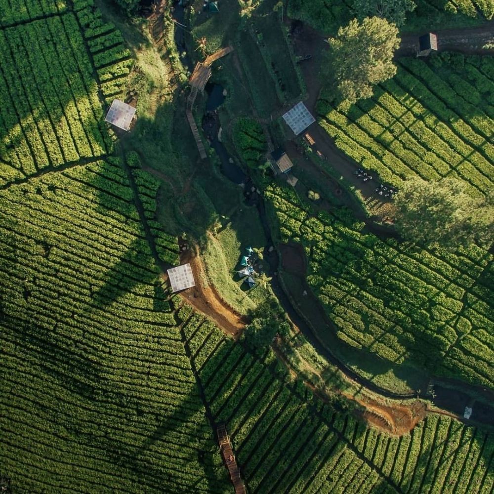 10 Potret Keindahan Nuansa Riung Gunung yang Disebut Swiss-nya Bandung