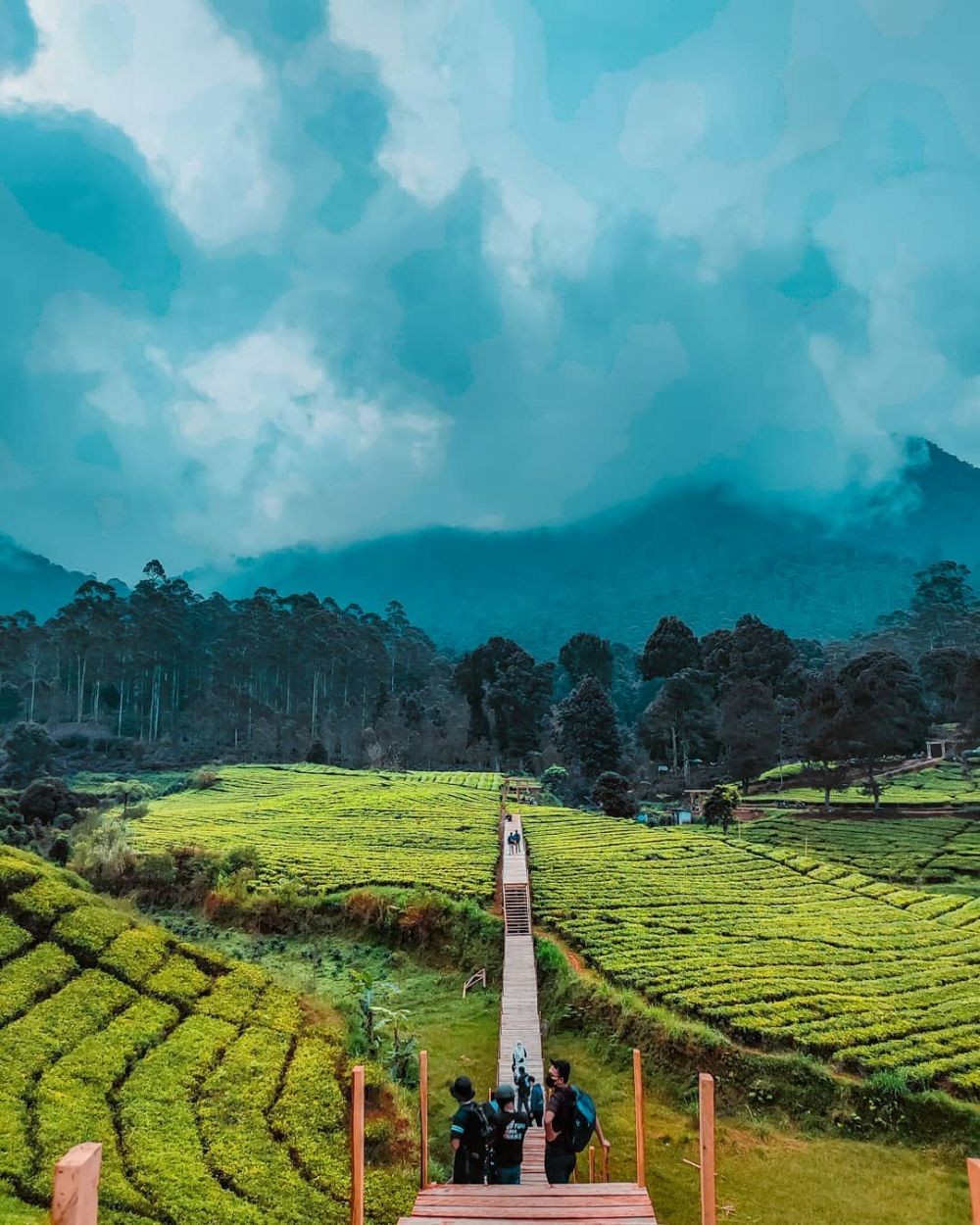 10 Potret Keindahan Nuansa Riung Gunung yang Disebut Swiss-nya Bandung