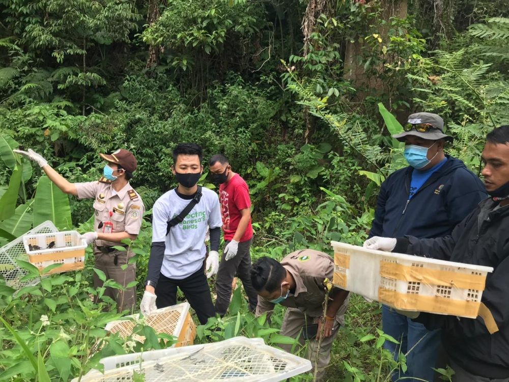 Balai Karantina Pertanian Lampung Lepasliarkan 1.250 Ekor Burung