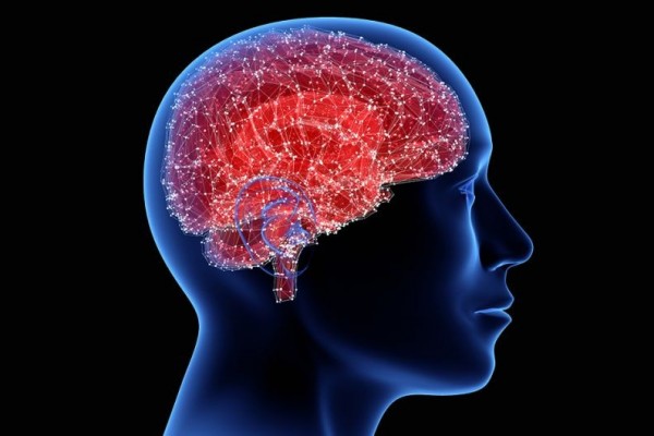 Cek Fakta Penting seputar Epilepsi dan Cara Pencegahannya