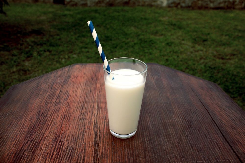 8 Manfaat Susu Unta, Aman untuk Orang dengan Intoleransi Laktosa