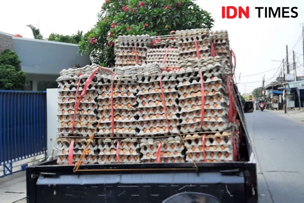 Puluhan Warga Cipatat Terima Bansos Ayam Busuk dan Telur Belatung