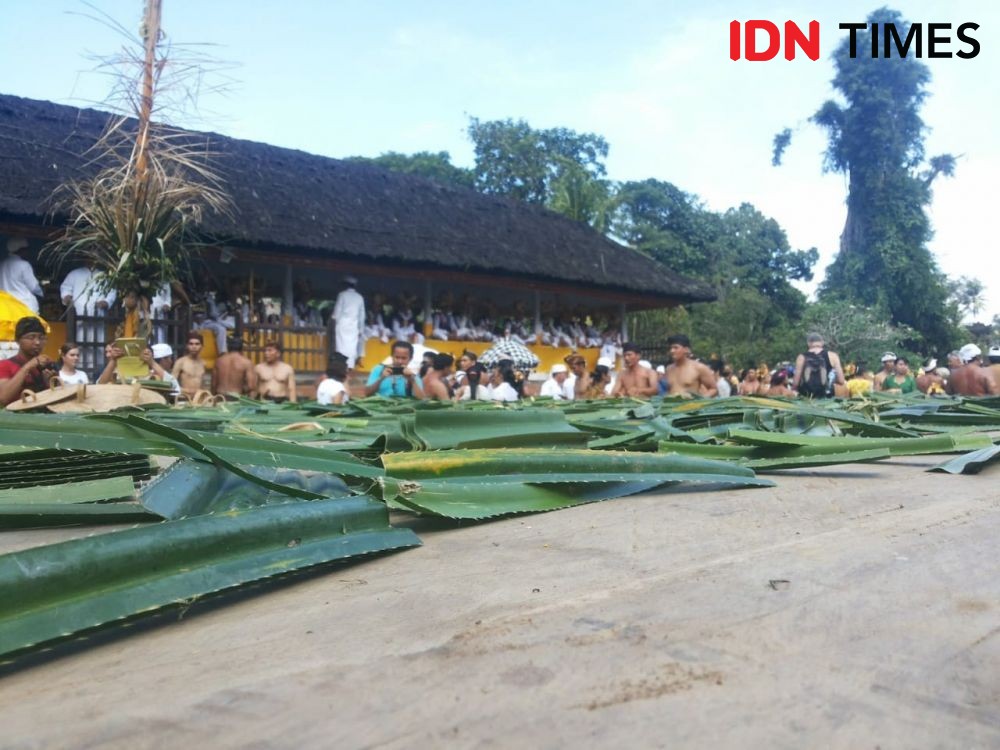 10 Potret Tradisi Mageret Pandan di Desa Tenganan Karangasem