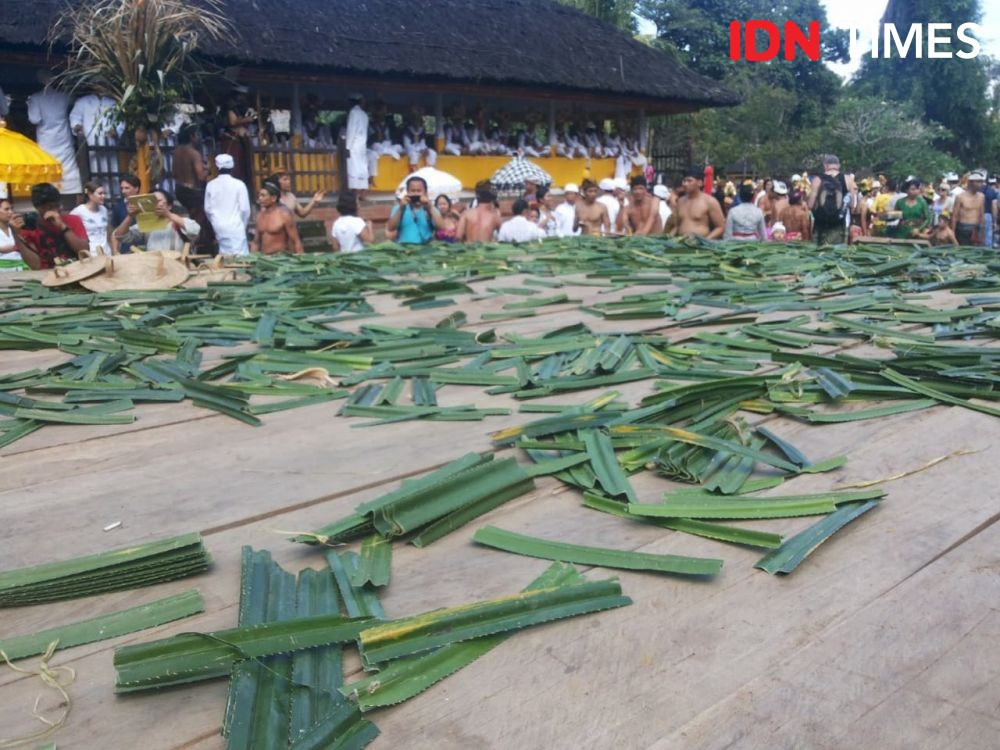 10 Potret Tradisi Mageret Pandan di Desa Tenganan Karangasem