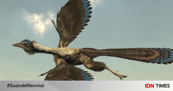 Facts about Urvogel, the Half-Reptile Bird from the Dinosaur World