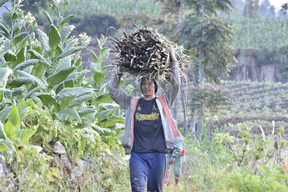 Petani Tembakau Minta Pemerintah Gak Naikkan Cukai