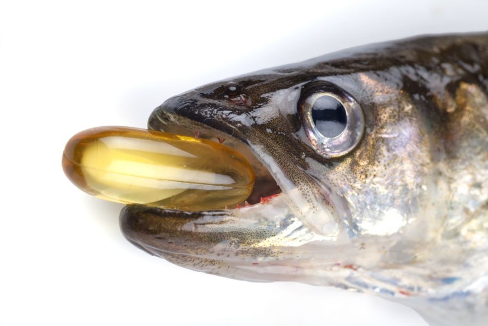 #GiziLokal: 10 Manfaat Ikan Kembung untuk Kesehatan, Tinggi Omega-3!