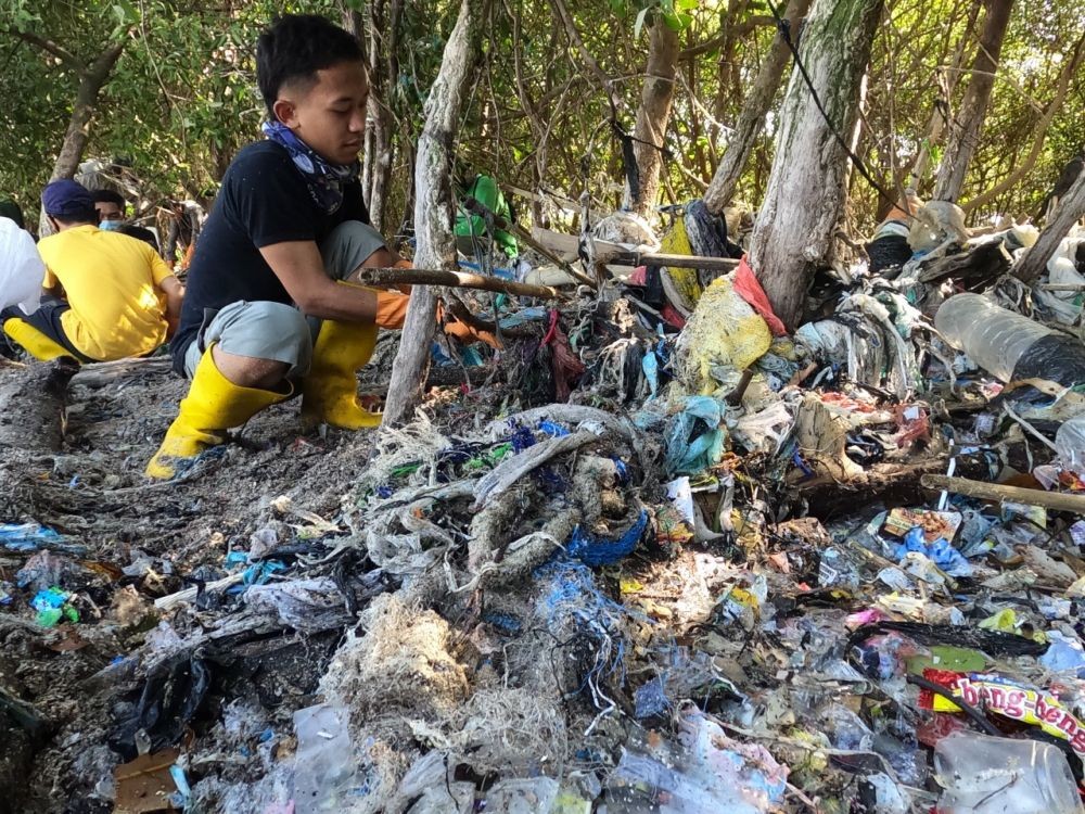 Duh! Mangrove Surabaya Dipenuhi Sampah Plastik