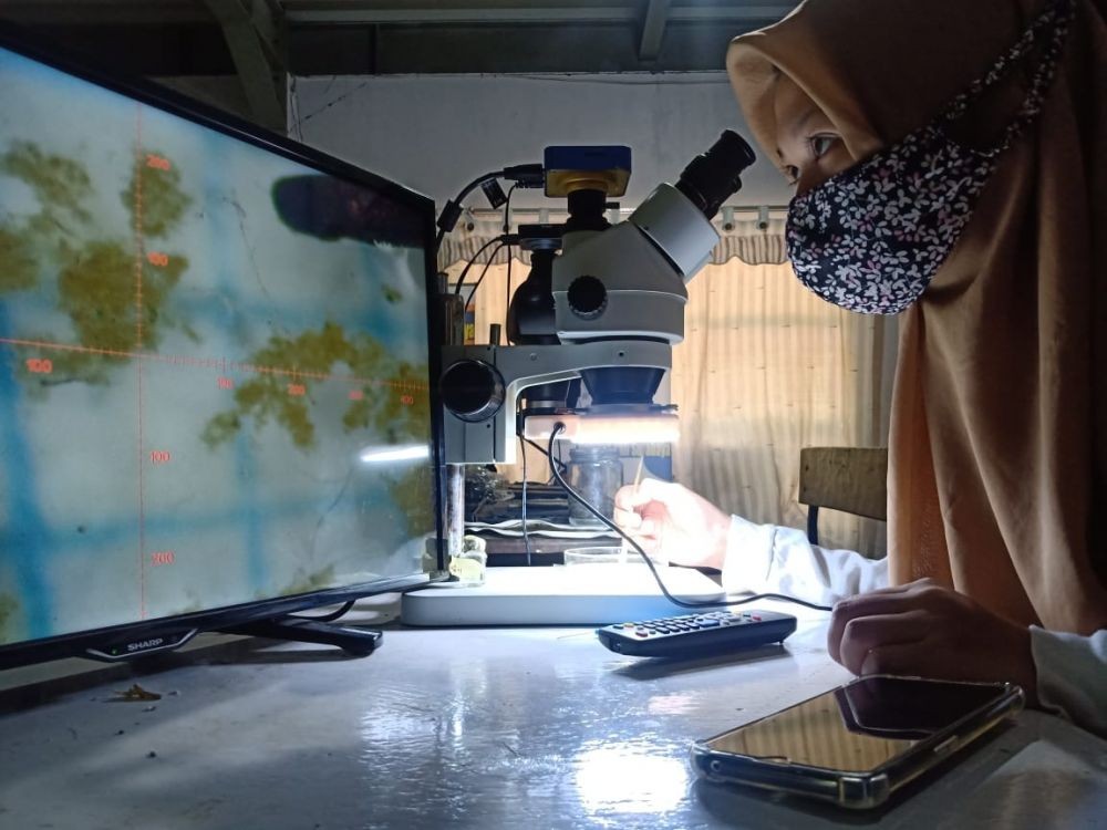 Jumlah Plankton di Kali Surabaya Kalah dengan Mikroplastik