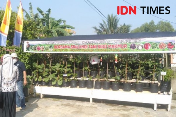 Melongok Desa Tegal Yoso, Destinasi Wisata Lampung Timur