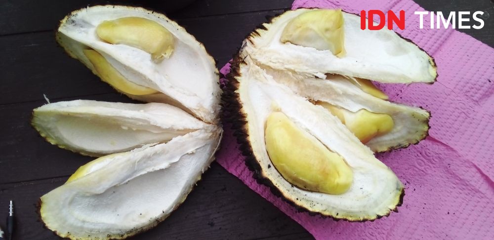 Nikmatnya Durian Bakar, Ini 4 Manfaatnya untuk Kesehatan