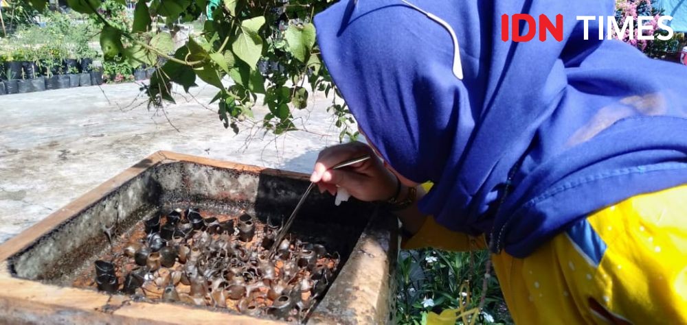 Kreatif! Warga Lampung Timur Bikin Kantong Madu Lebah Trigona