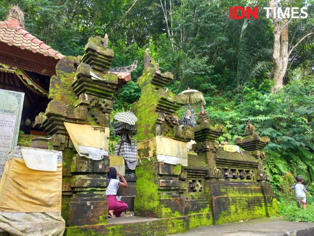 10 Potret Wisata Spiritual Alas Metapa di Bangli, Sangat Disakralkan