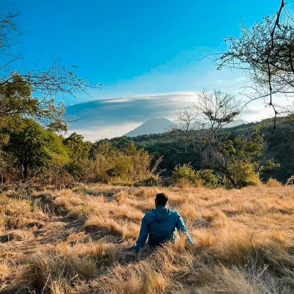 10 Hutan Paling Indah Di Indonesia Beberapa Dikenal Angker