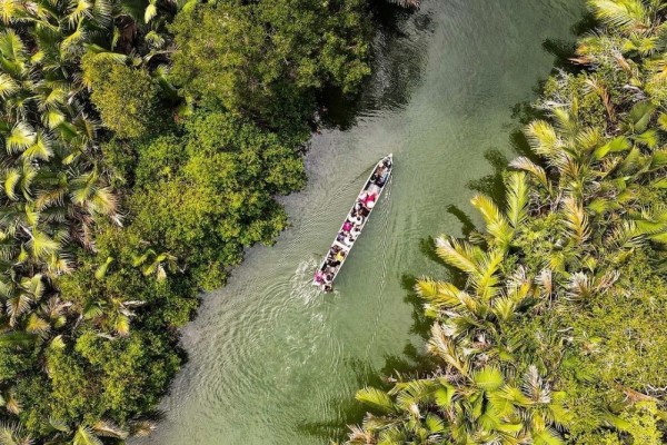 10 Hutan Paling Indah Di Indonesia Beberapa Dikenal Angker