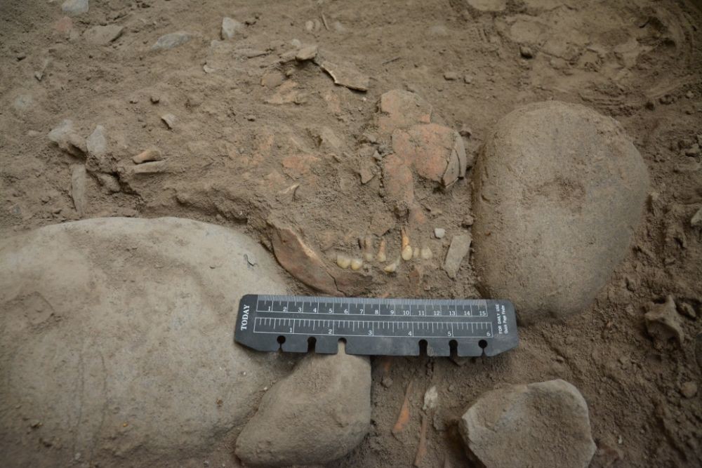 Peneliti Ungkap Temuan Rangka Manusia 7.200 Tahun di Maros