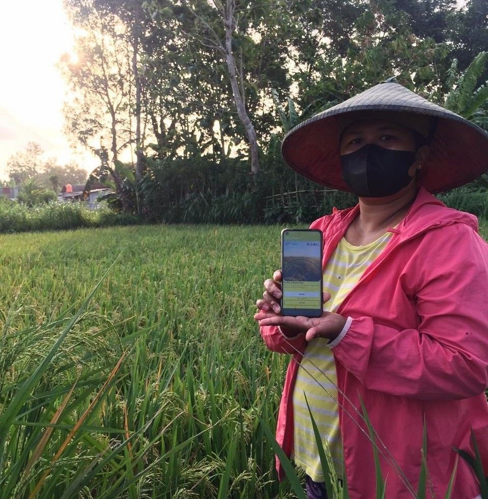 E-Rice Detector: Aplikasi Pendeteksi Penyakit Padi Karya Mahasiswa UMM