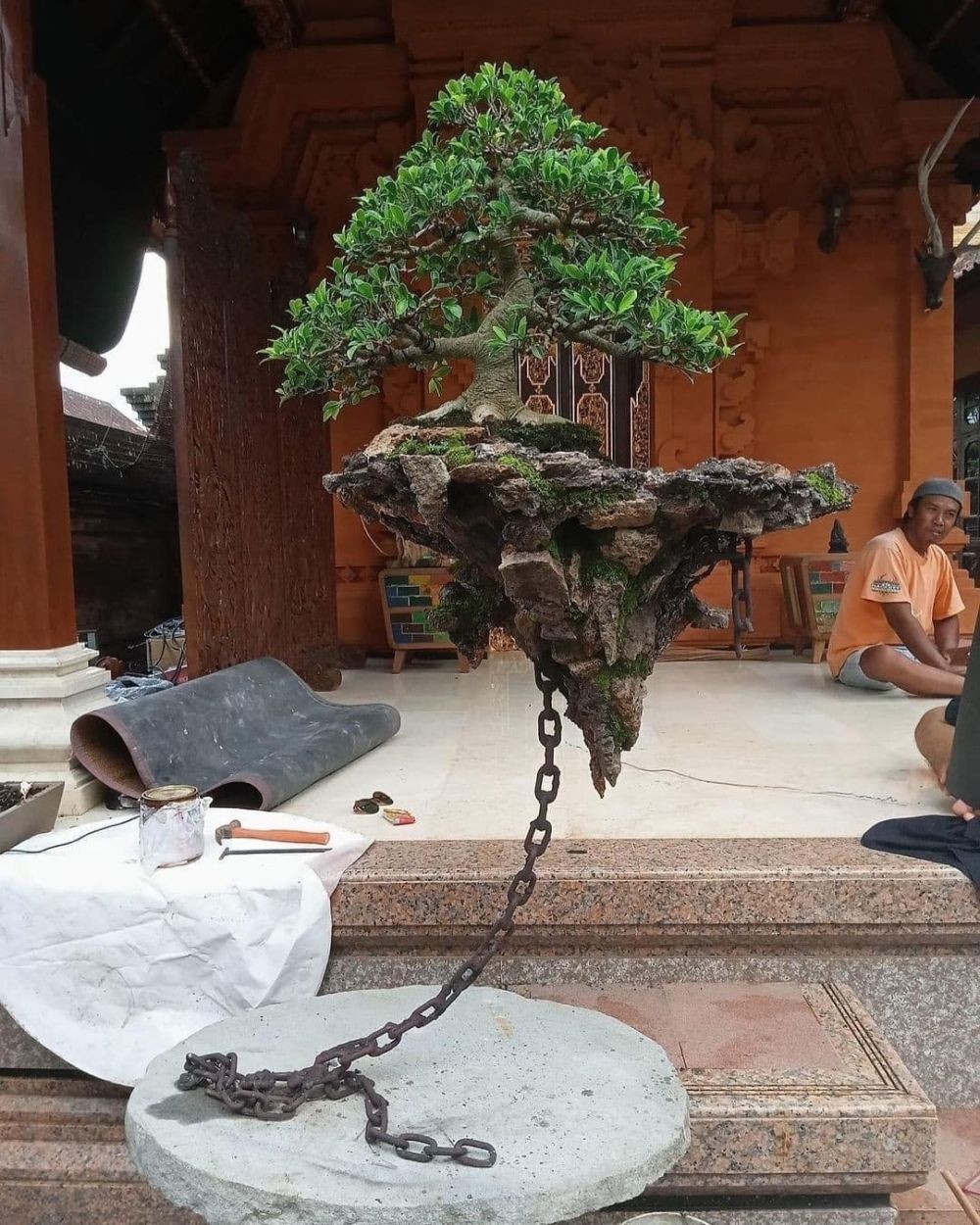 Viral Bonsai Melayang di Bali, Terinspirasi dari Film Avatar