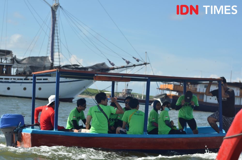 12 Potret Mencari Pakan Penyu Hijau di Pulau Serangan Bali, Seru Nih!