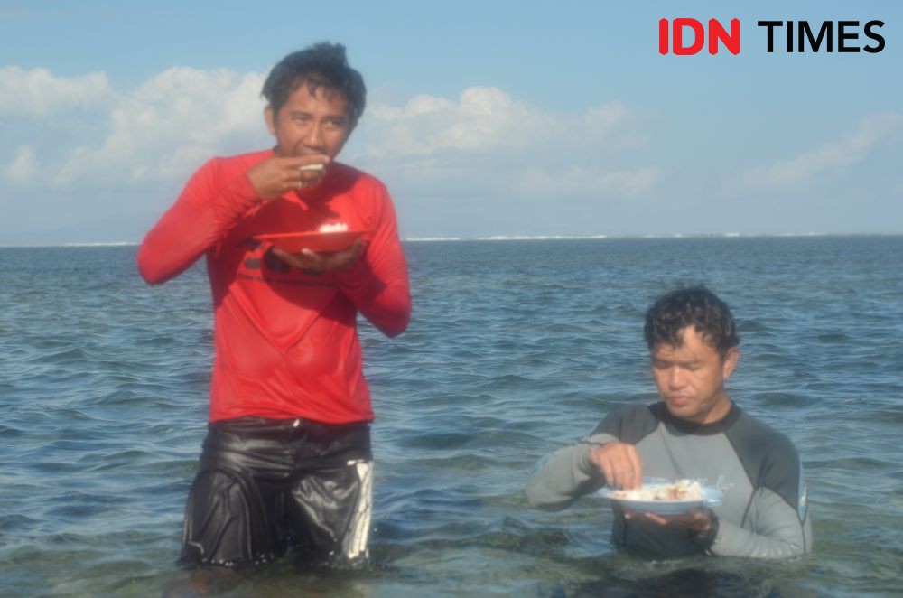12 Potret Mencari Pakan Penyu Hijau di Pulau Serangan Bali, Seru Nih!