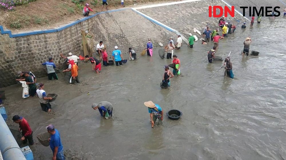 Ribuan Warga Tulungagung Berebut Cari Ikan Mabuk di Sungai