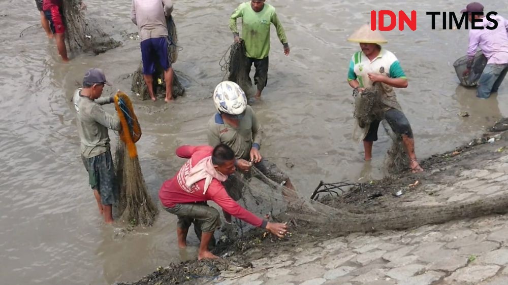 Ribuan Warga Tulungagung Berebut Cari Ikan Mabuk di Sungai