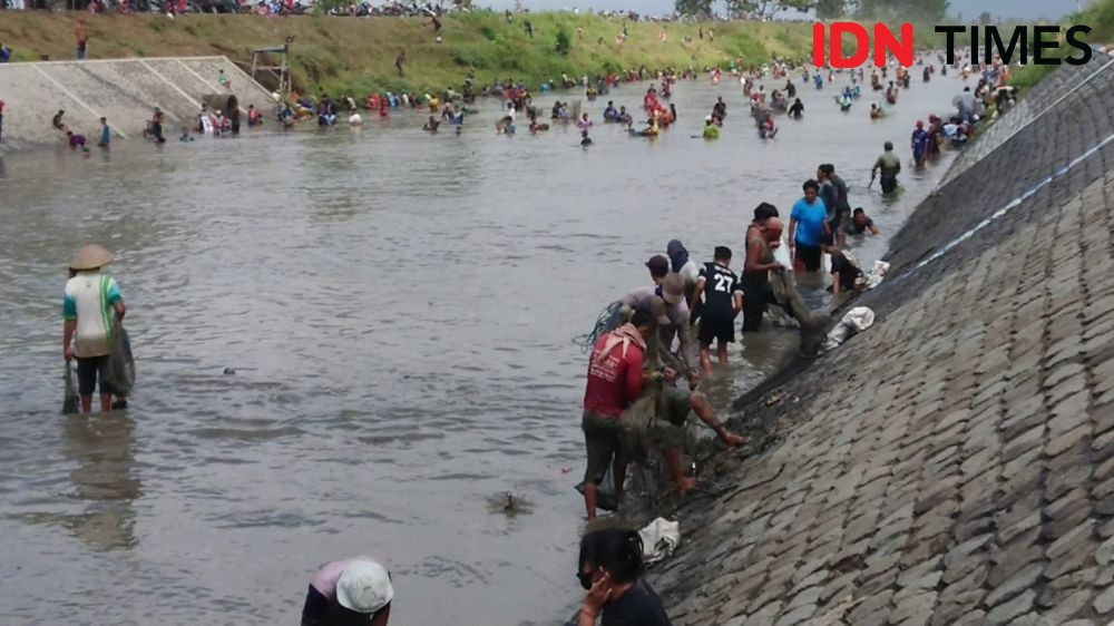 Ribuan Warga Tulungagung Berebut Cari Ikan Mabuk di Sungai