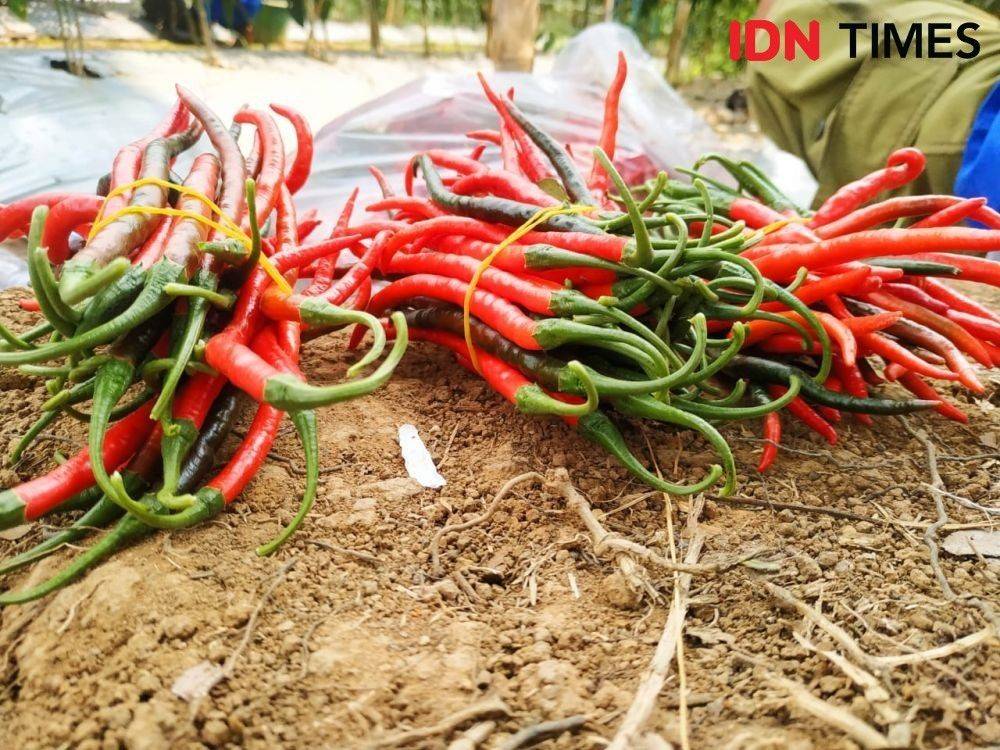 Harga Bahan Pokok Turun, Mulai Dari Minyak Goreng