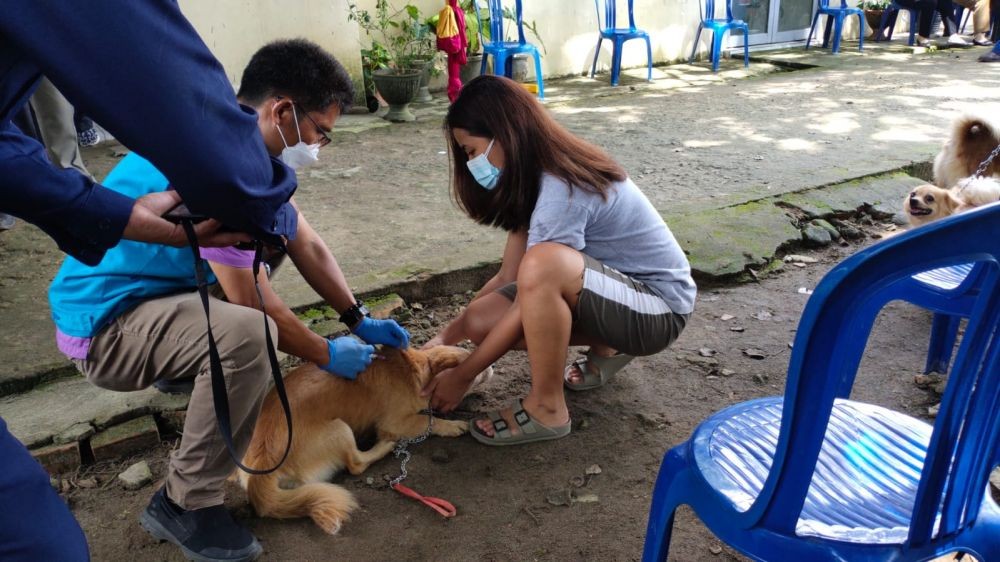 PDHI Sumsel Suntik Vaksin Rabies Hewan Peliharaan di Palembang 