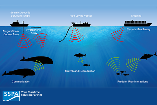 7 Fakta Kebisingan dan Dampaknya pada Kehidupan Laut 