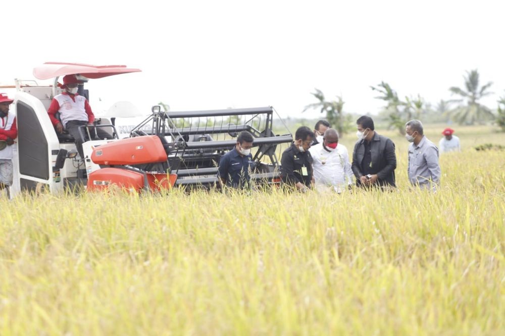 Bank Dunia Dukung Sektor Pertanian Indonesia yang Lebih Inklusif