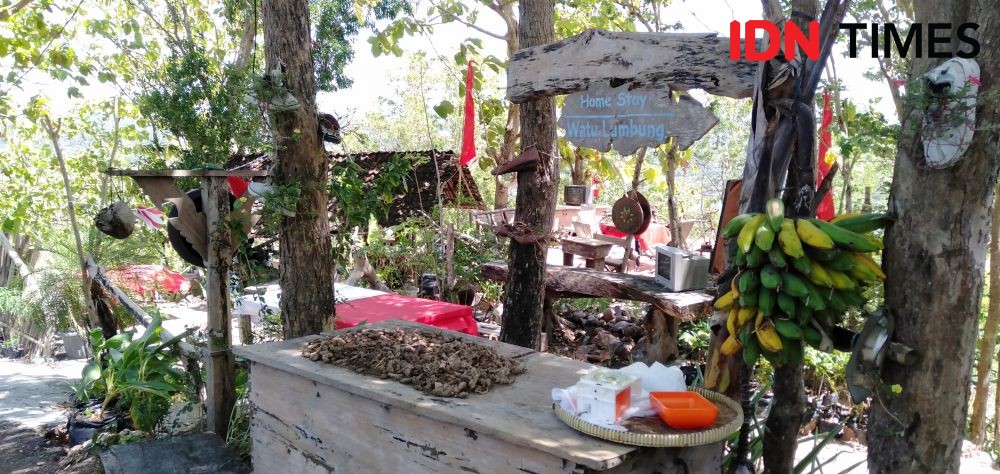 Watu Lumbung Dinilai Tak Layak, Dispar DIY Ajukan Pinus Sari