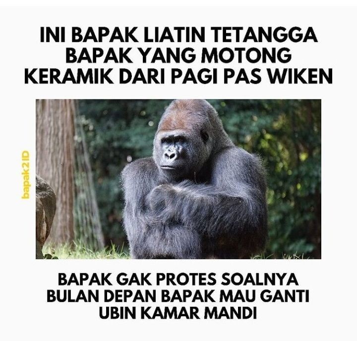 10 Meme Jokes Bapak Bapak Ini Meski Garing Tapi Bikin Ketawa