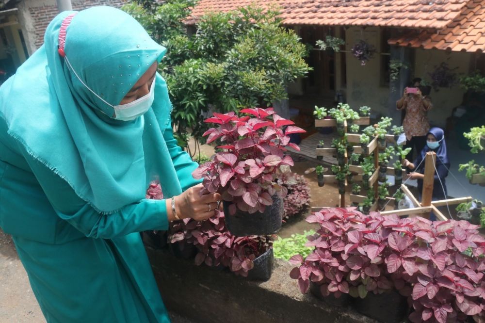 Penghijauan Permukiman Terdampak Proyek SPAM di Semarang