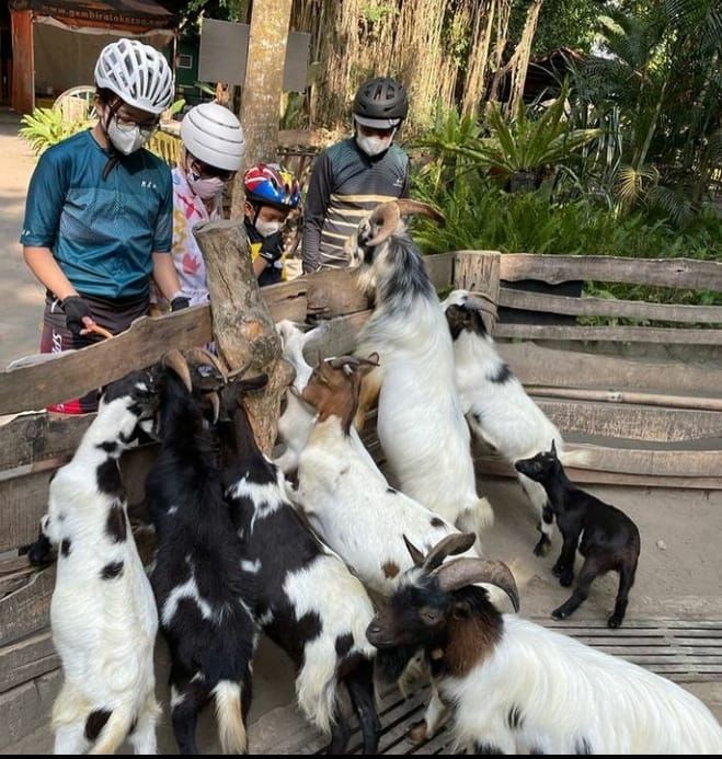 Bikers, Ada Tempat Baru Bersepeda di Kebun Binatang Gembira Loka