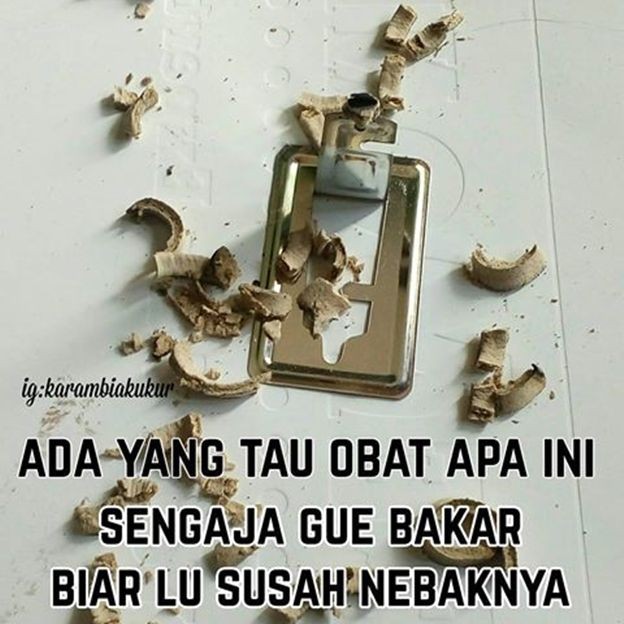 10 Meme Tebak Tebakan Ini Bikin Mikir Sebelum Ngakak