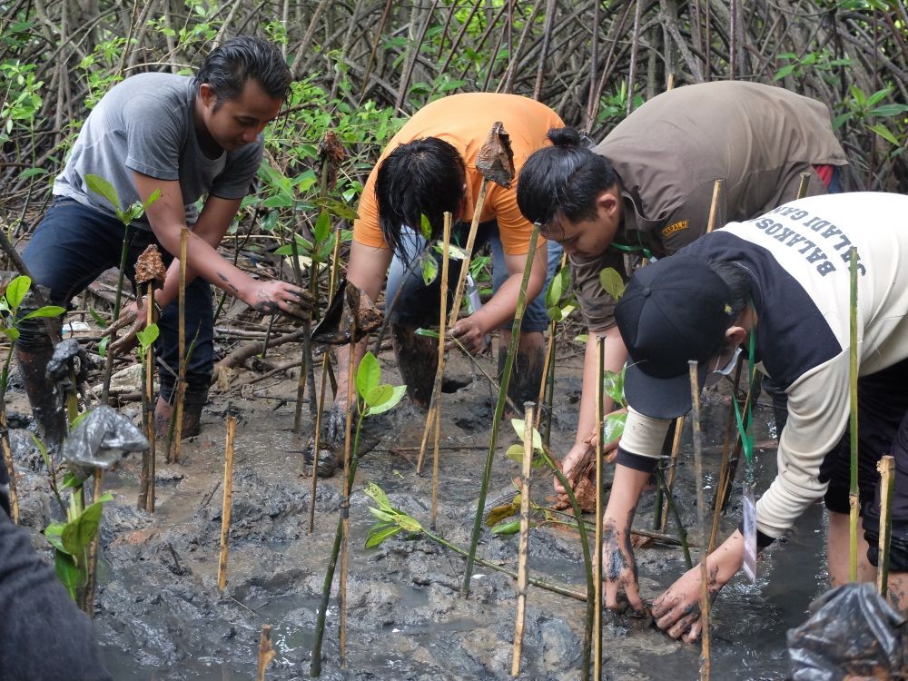 Kiprah Kesemat, Para Milenial Perawat Mangrove di Pesisir Pantura Jawa