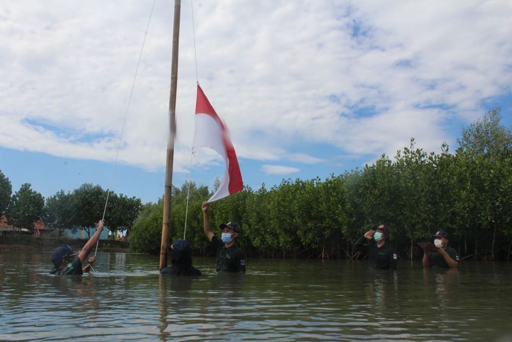 Kiprah Kesemat, Para Milenial Perawat Mangrove di Pesisir Pantura Jawa