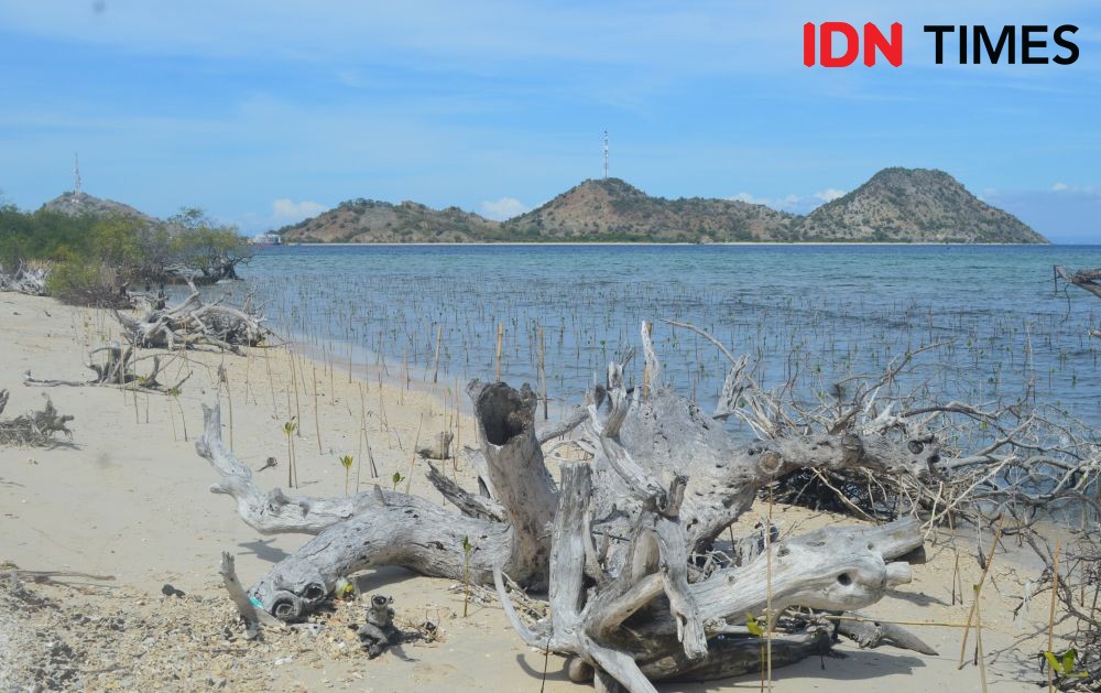 Merawat Keindahan 8 Pulau di Gili Balu Sumbawa Barat