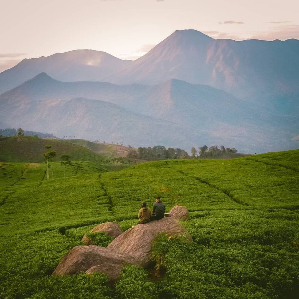 9 Tempat Wisata di Puncak Bogor yang Tersembunyi